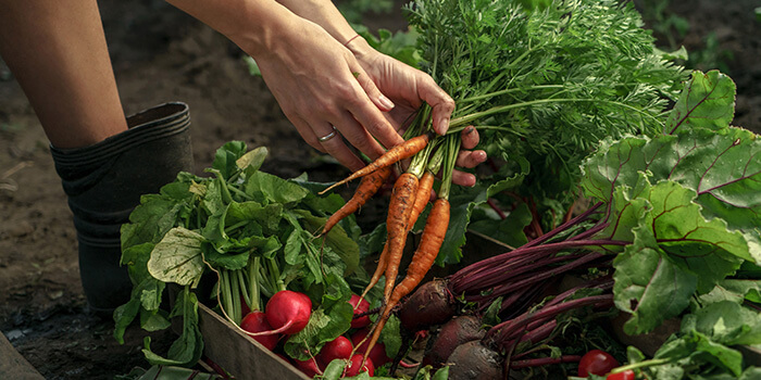 https://www.apollohealthco.com/wp-content/uploads/April2025KetoFLEX123KitchenSpringHarvest.jpg