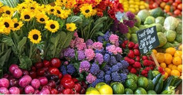 https://www.apollohealthco.com/wp-content/uploads/KetoFLEXKitchen123March2025-370x193.jpg