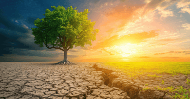 https://www.apollohealthco.com/wp-content/uploads/May2024NewsletterDrBredesensBlog-370x193.png
