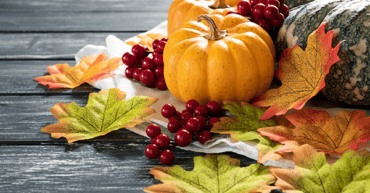https://www.apollohealthco.com/wp-content/uploads/Nov2022NewsletterKetoFLEX12_3Kitchen-370x193.png