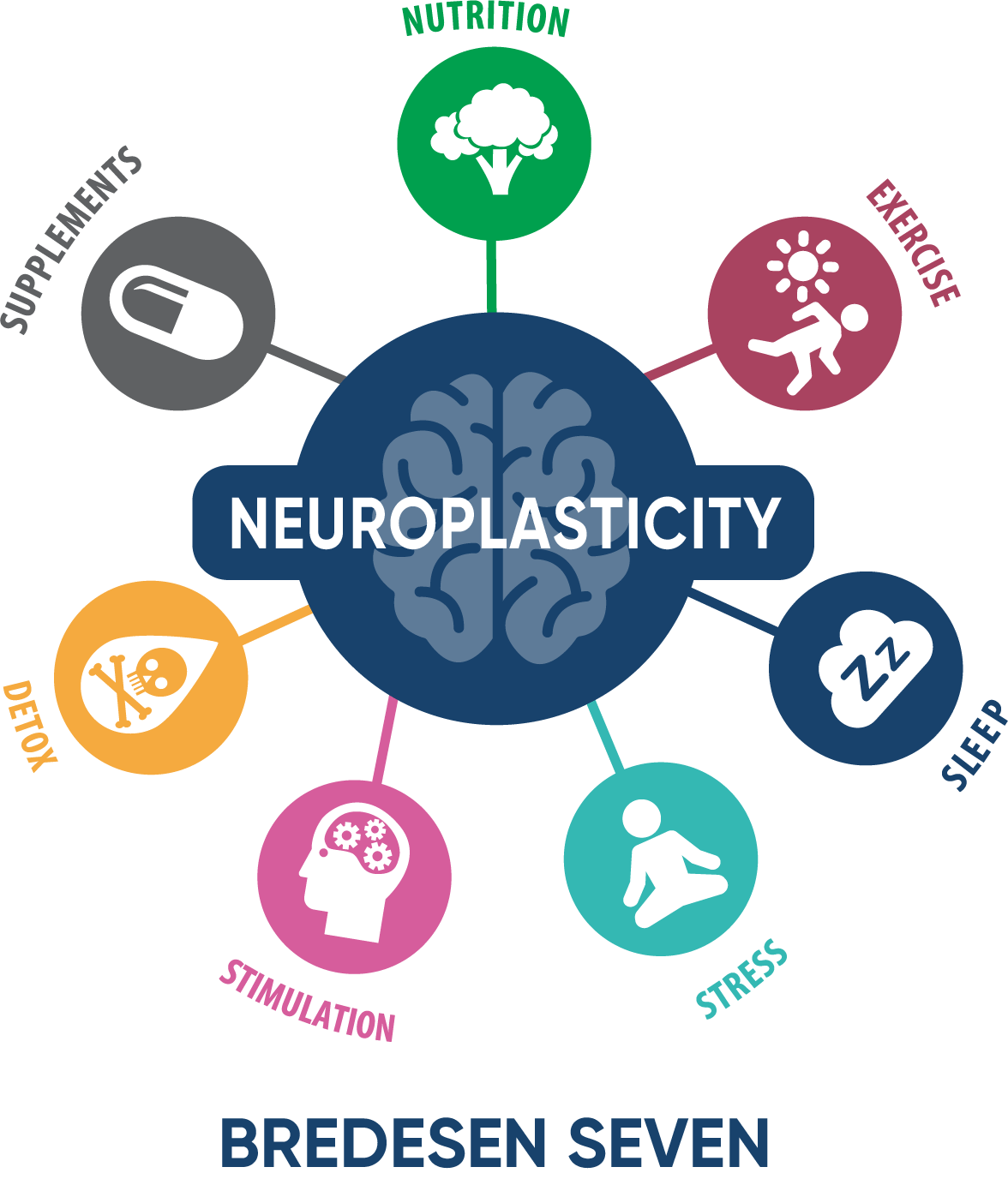 Neuroplasticity diagram of the Bredesen Seven: Nutrition, Exercise, Sleep, Stress, Stimulation, Detox, and Supplements